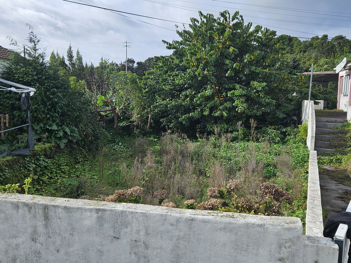 Entrada e logradouro, antes da reabilitação
